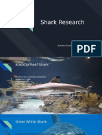 Shark Research Mateo e