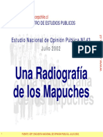 (2002) CEP - Estudio Nacional de Opinión Pública, Julio 2002. Incluye tema especial Radiografía de los Mapuches