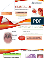 Amigdalitis: causas, síntomas y tratamiento