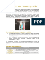 Análisis-Concepto de Cromatografía