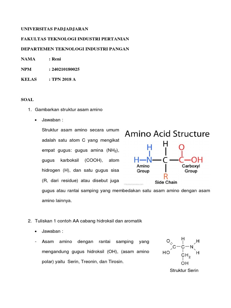 Soal dan Pembahasan Sintesis Protein | PDF