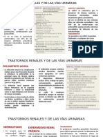 TRASTORNOS RENALES Y DE LAS VÍAS URINARIAS TRABAJO