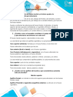 Cuestionario Osteologia y Artrologia.docx