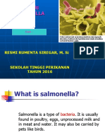 Teori Salmonella