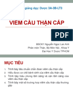 Viêm cầu thận cấp - Dược 3A,3B,LT3 PDF