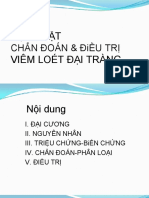 Viem Dai Trang PDF