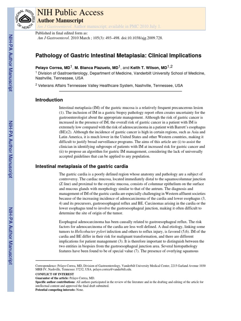 Intestinal Metaplasia | PDF | Stomach | Esophagus