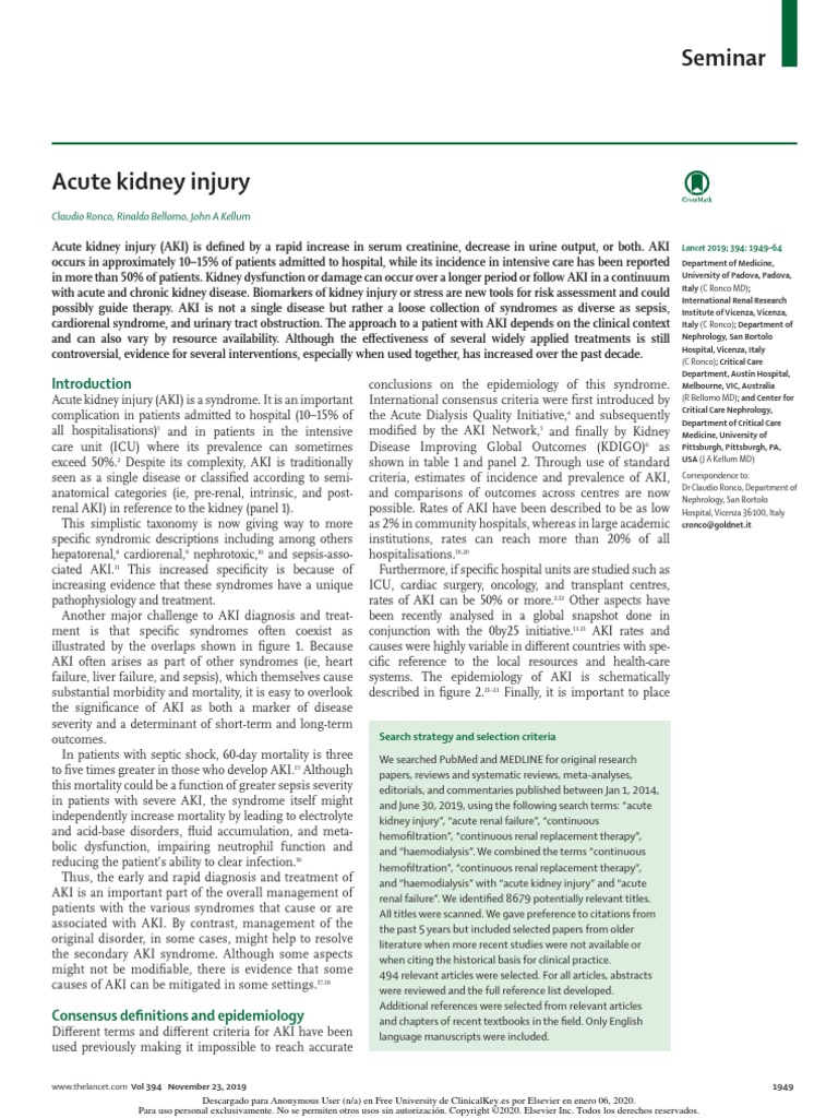Acute Kidney Injury | PDF | Renal Function | Creatinine