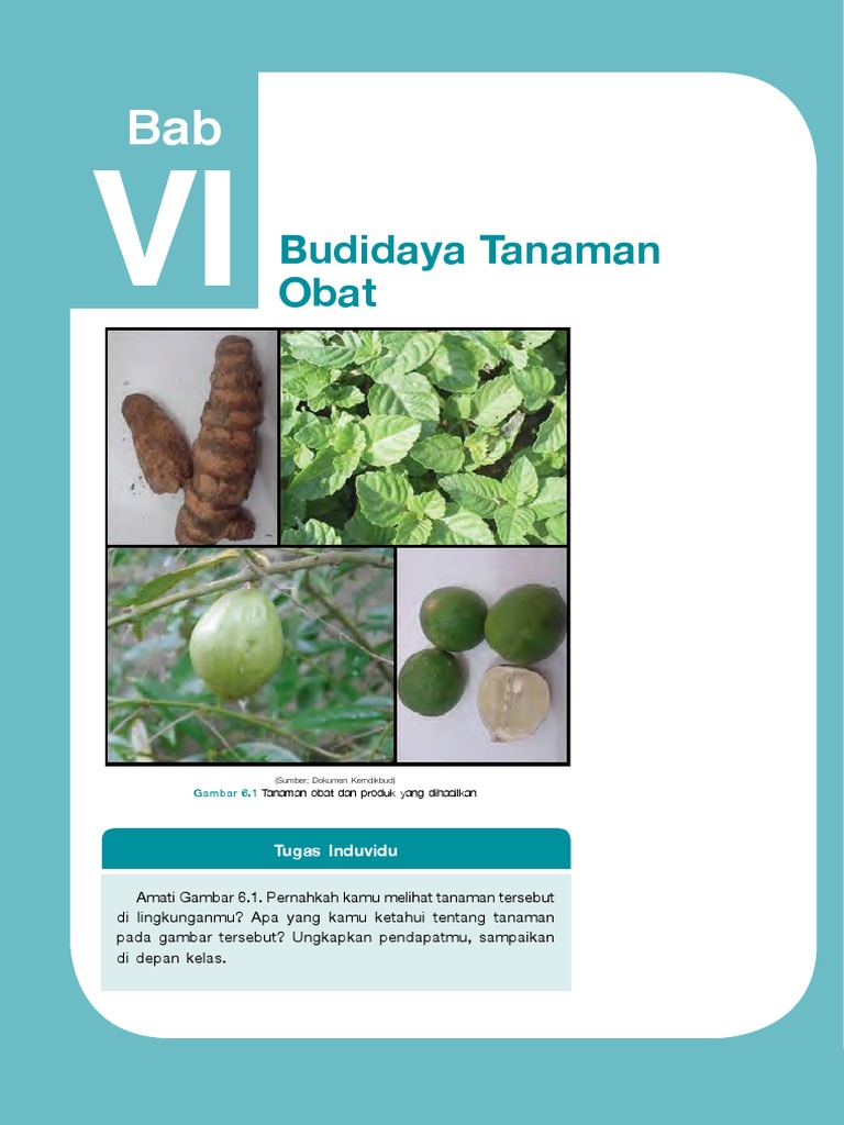 Bab Vi Prakarya Kelas 7 Pdf