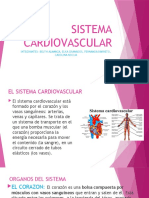 Sistema Cardiovascular