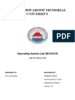 OS Lab Practical File 073