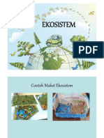 Ekosistem Dengan Ilustrasi Lengkap - 17-04-2018