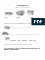Naturais Repaso t 1-1