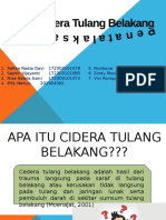 Cidera Tulang Belakang