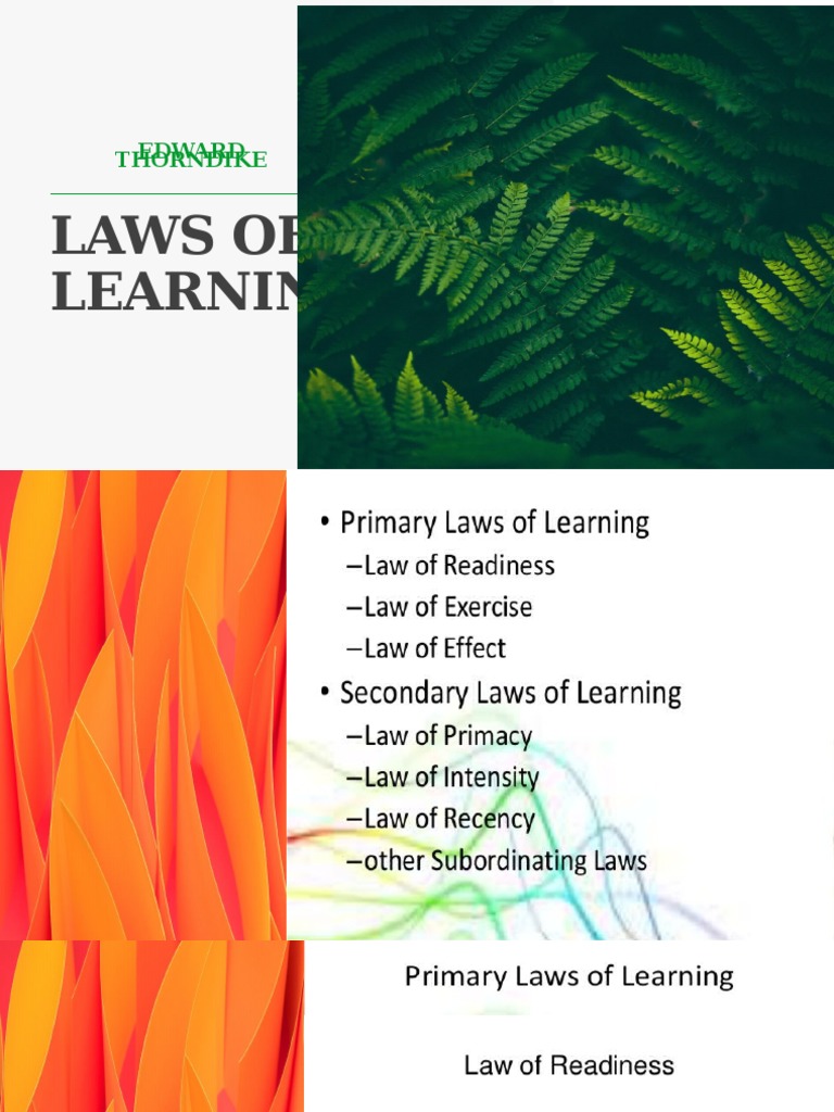 Laws of Learning Edward Thorndike PDF