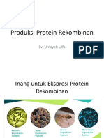 Produksi Protein Rekombinan 2020 PDF