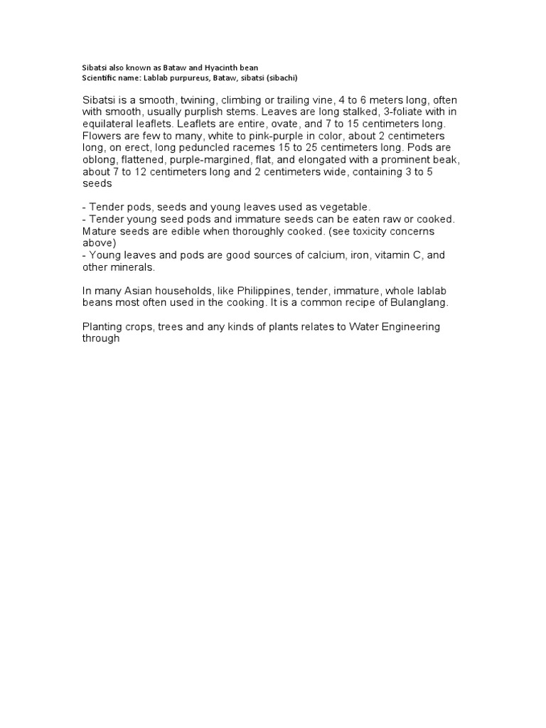 Sibatsi Also Known As Bataw and Hyacinth Bean Scientific Name: Lablab