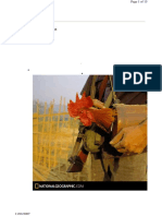 1 PDF