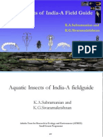 Indian Aqua Insects