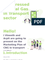 Compressed Natural Gas in Transport Sector