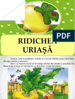 Ridichea Uriasa