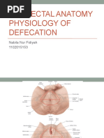 Anorectal Anatomy Physiology of Defecation: Nabila Nur Fidiyah 1102015153