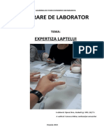 Laborator - Lapte