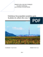 CojocEmilia2011.pdf