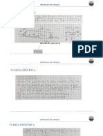 Diapositivas F-Específica FGV