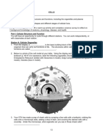 Cells Objectives For Exam #1