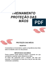 TREINAMENTO PROTEÇÃO DAS MÃOS