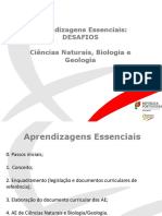 Aprendizagens Essenciais III