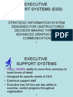 Executive Support Systems (Ess)