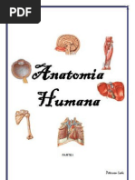 RESUMO_ANATOMIA_-_PARTE_I