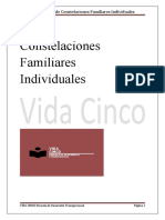 Constelaciones Individuales