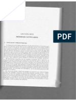 Medidas Cautelares parte 1 red.pdf