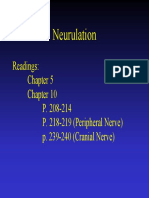 Neurulation: Readings: P. 208-214 P. 218-219 (Peripheral Nerve) P. 239-240 (Cranial Nerve)