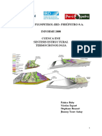 Informe 2008 Pluspetrol