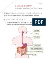 Aparato Digestivo