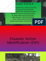 Scal Dvi Tutorial 6