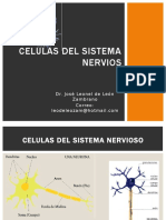 Celulas Del Sistema Nervios