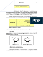 18acidos-nucleicos.pdf