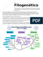 Árbol Filogenético Bacterias Arqueas Eucariotas