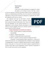 1Organizaţia ca spaţiu al comunicării .docx