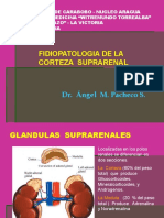 Corteza Suprarenal