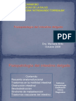 Fisiopatologia del intestino delgado [Autoguardado].pdf