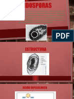 Endosporas