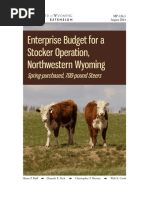 Enterprise Budget For A Stocker Operation