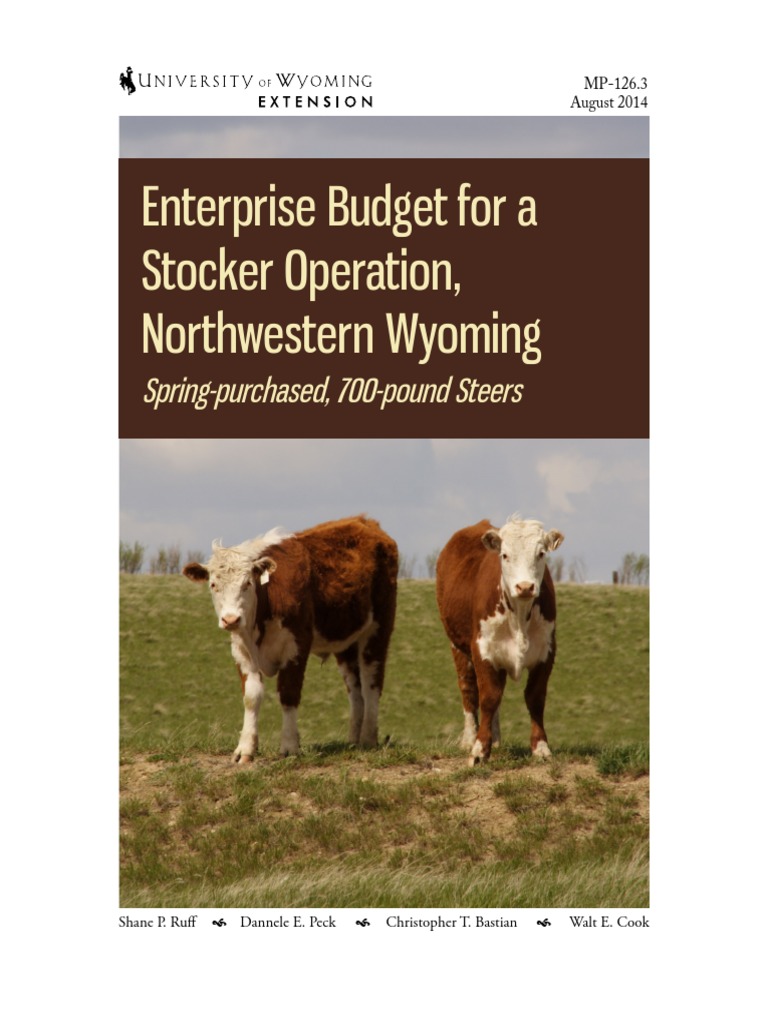 Enterprise Budget For A Stocker Operation PDF Depreciation Cattle