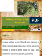 pedestrianismo (1)